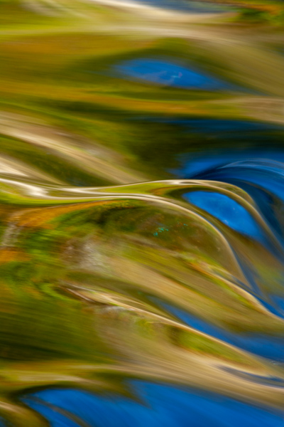 Textures;Shapes;Patterns;Abstractions;Abstract;Reflections;Reflection;Plant;Trunk;Bark;Leafy;Branches;Branch;Woodland;Herbaceous;Shrub;Bush;Trees;Tree Trunk;Brook;Creek;Rivulet;Streamlet;Stream;Rivers;River;Riverbed;Water;Flowing;waterway;stream;creek;brook